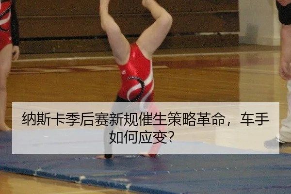 na-si-ka-ji-hou-sai-xin-gui-cui-sheng-ce-lve-ge-ming-che-shou-ru-he-ying-bian-3-832.jpg