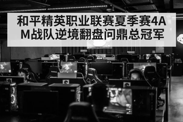 和平精英职业联赛夏季赛4AM战队逆境翻盘问鼎总冠军